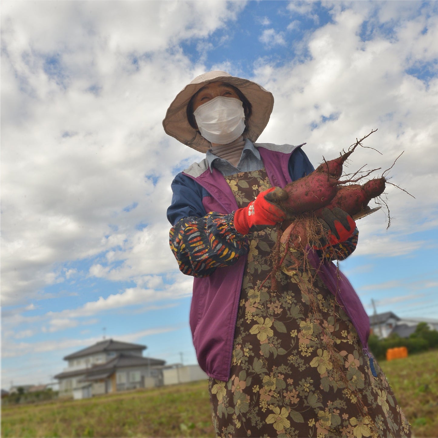 生芋「紅はるか」サイズ無選別